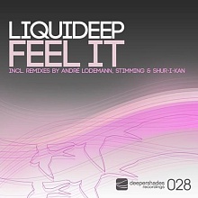 Liquideep "Feel It - Remixes" Deeper Shades Recordings DSOH028 Liquideep - Feel It - Deeper Shades Recordings