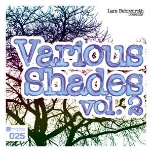 Various Artists - Lars Behrenroth presents Various Shades Vol.2 - DSOH025
