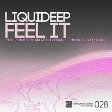 Liquideep - Feel It - Deeper Shades Recordings
